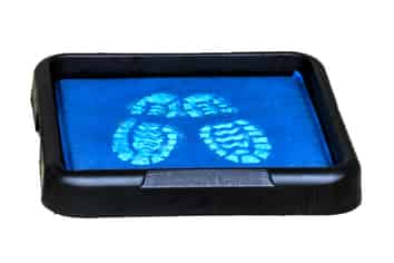 Export Potential Protected IP