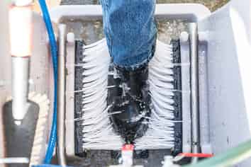 Export Potential Protected IP