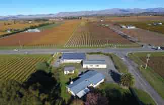 Multiple Business and Lifestyle Choices