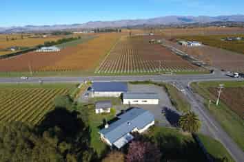 Multiple Business and Lifestyle Choices