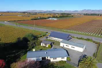 Multiple Business and Lifestyle Choices