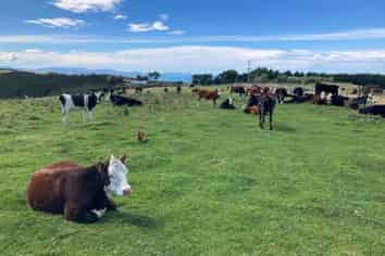  Chaplin Road, Taieri Mouth