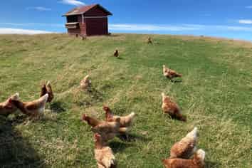  Chaplin Road, Taieri Mouth