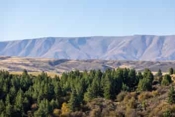 135 Cambrian Road, Omakau