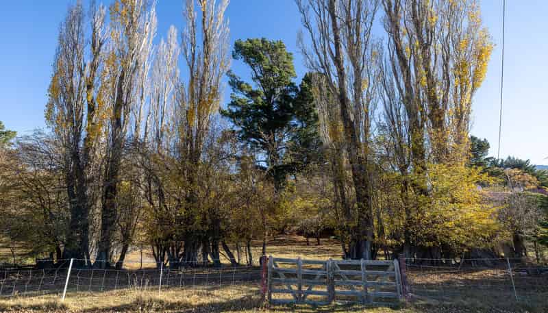 135 Cambrian Road, Omakau