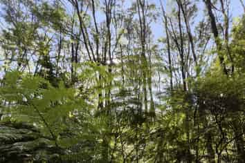 Lot 5 931B Puketona Road, Kerikeri