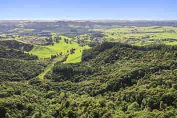 Lot 6 931B Puketona Road, Kerikeri