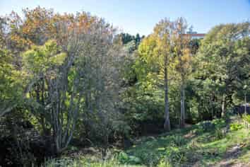 107a Seaview Road, Westown