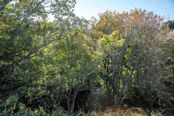 107a Seaview Road, Westown