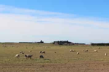  Rosewill Valley Road and Cartwright Road, Washdyke