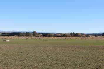  Rosewill Valley Road and Cartwright Road, Washdyke