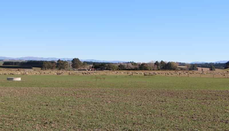  Rosewill Valley Road and Cartwright Road, Washdyke