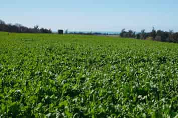  Lyalldale Middle Road, Saint Andrews