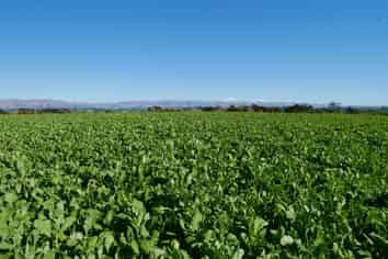  Lyalldale Middle Road, Saint Andrews