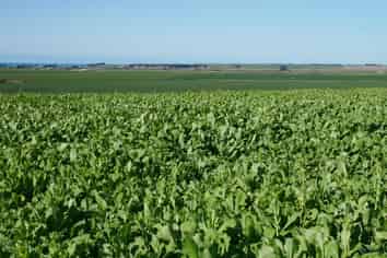  Lyalldale Middle Road, Saint Andrews