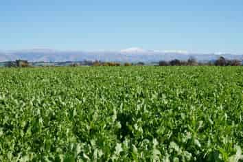  Lyalldale Middle Road, Saint Andrews