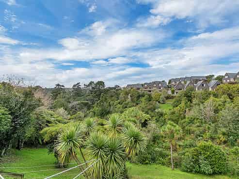 61 Waipa Street, Birkenhead