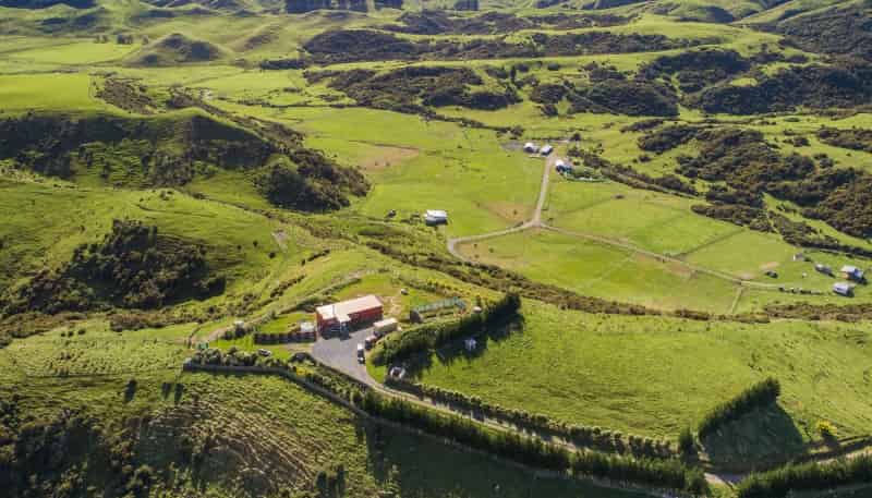 79 County Heights Drive, Aokautere