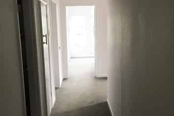 28 Wellington St, Hamilton East