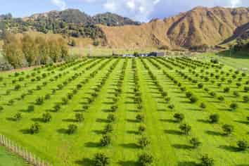 2196 Waitotara Valley Road, Waitotara