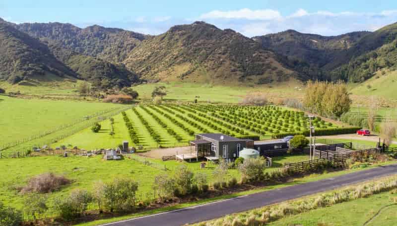 2196 Waitotara Valley Road, Waitotara