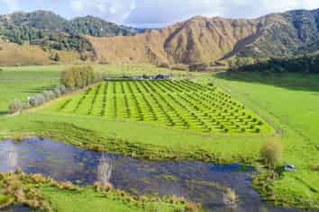 2196 Waitotara Valley Road, Waitotara