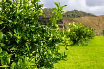 2196 Waitotara Valley Road, Waitotara