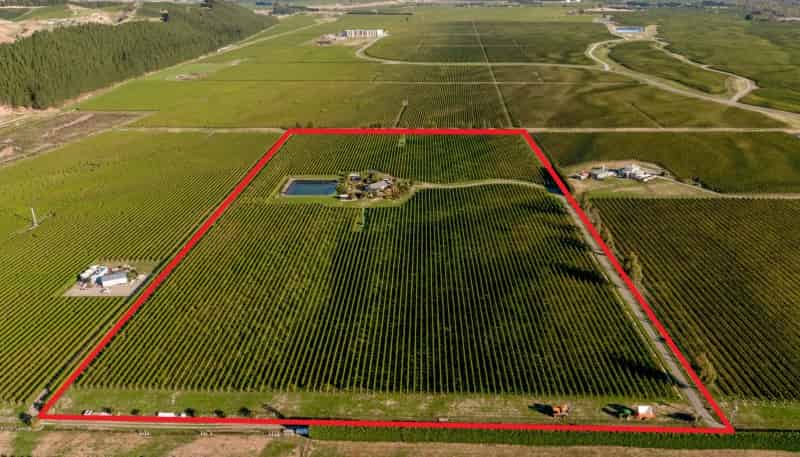 151 Guernsey Road, Wairau Valley