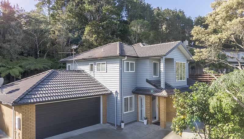 17 Mappin Place, Chatswood