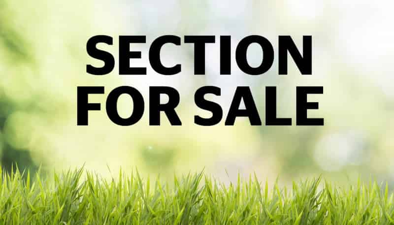 36 Cirrus Way, Ranui