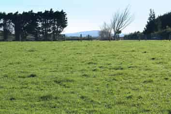 Lot 4 801 Mill Road North, Makarewa