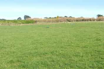 Lot 4 801 Mill Road North, Makarewa