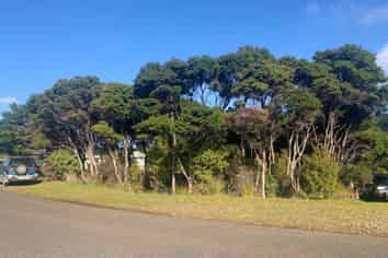 12 Moana View Road, Great Barrier Island