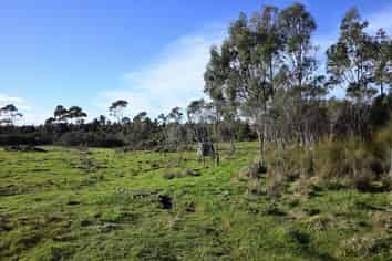 10/133 Powerhouse Road, Westport