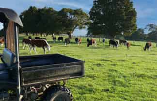 604 Three Mile Bush Road, 