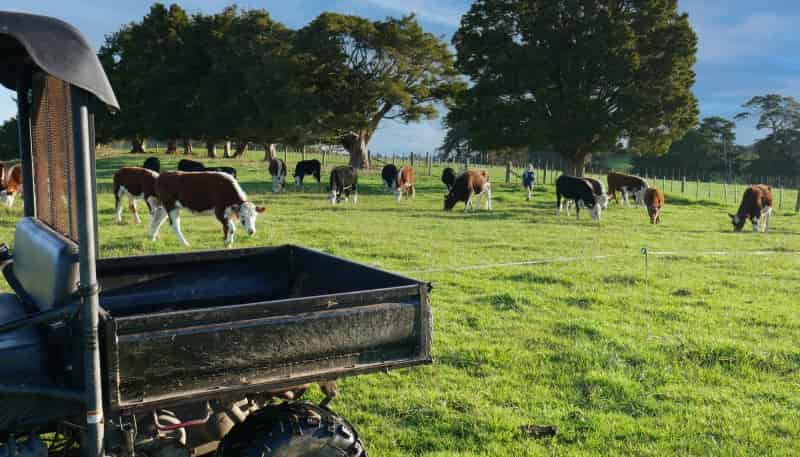 604 Three Mile Bush Road, 