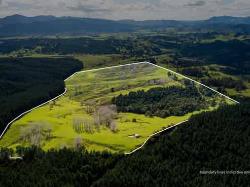 490 Houto Road, Whangarei Surrounds