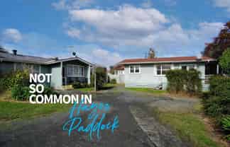 45B Jellicoe Drive, Hamilton East