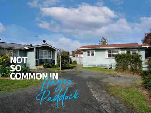 45B Jellicoe Drive, Hamilton East