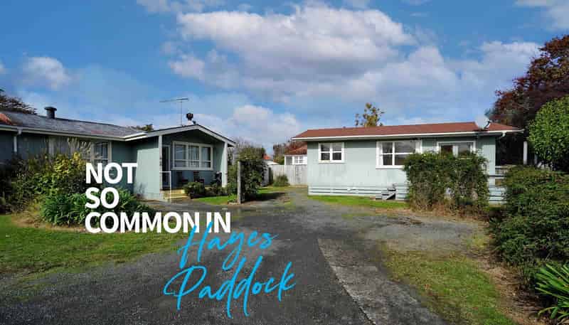 45B Jellicoe Drive, Hamilton East
