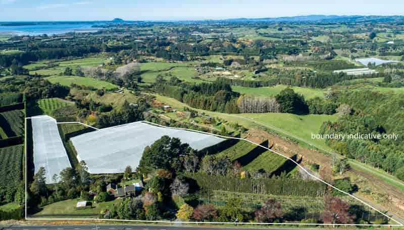 277 Wright Road, Aongatete