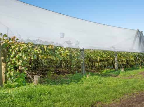 277 Wright Road, Aongatete