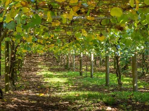 277 Wright Road, Aongatete