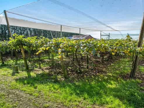 277 Wright Road, Aongatete