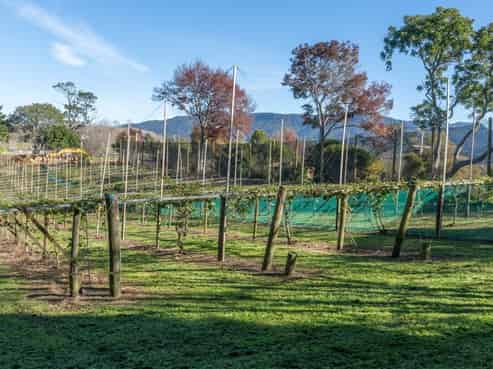 277 Wright Road, Aongatete