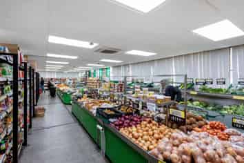 Substantial Papatoetoe Real Estate with Income