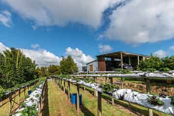 203 Fisher-Riley Road, Kaitaia