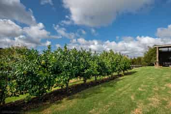 203 Fisher-Riley Road, Kaitaia