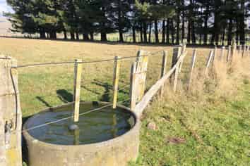  Station Road, Makotuku, Norsewood