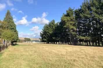  Station Road, Makotuku, Norsewood